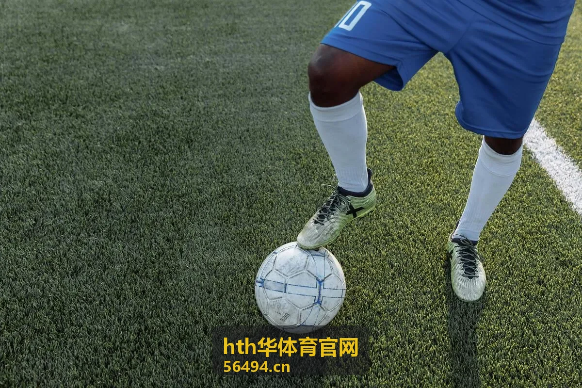 hth华体育官网数据统计图表界面